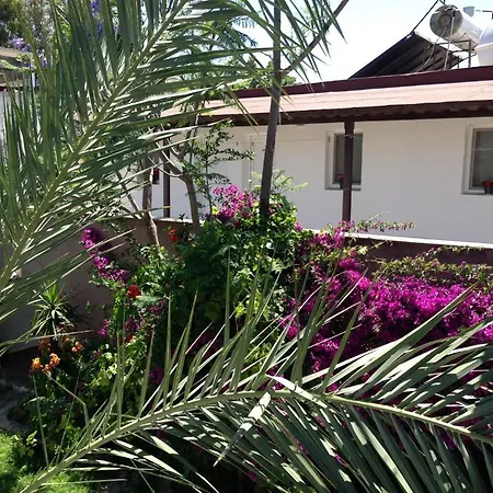 Eda 3* Göltürkbükü